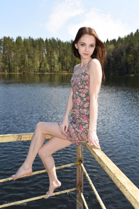 Лапа картинка 18